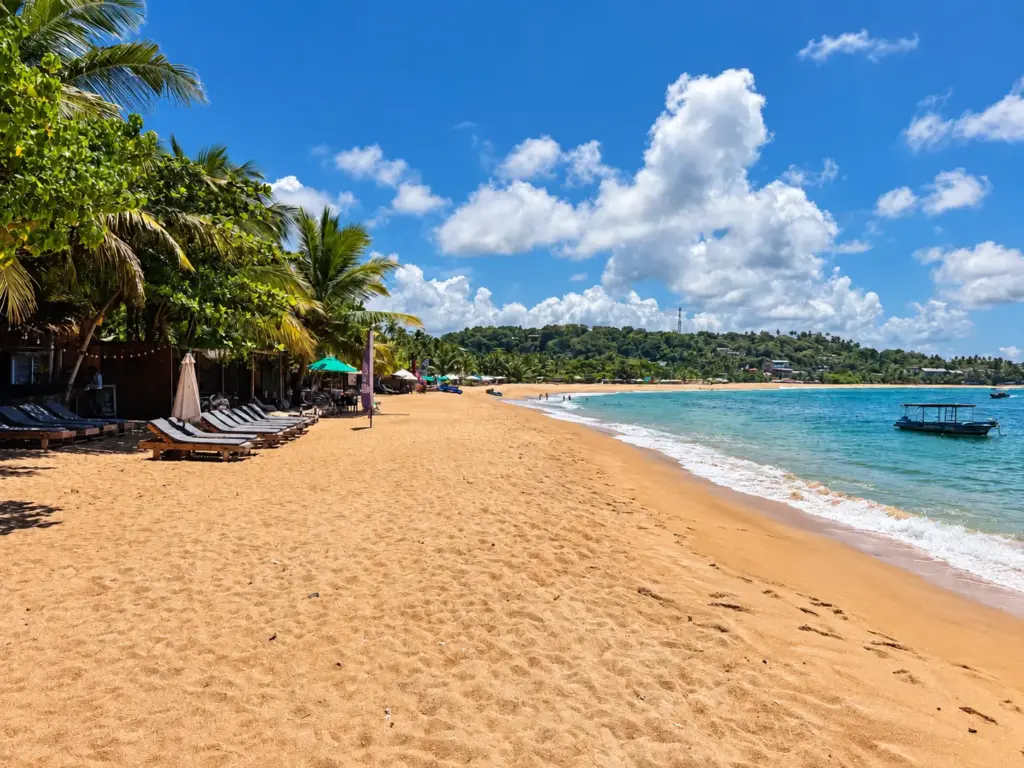 things to do in Unawatuna