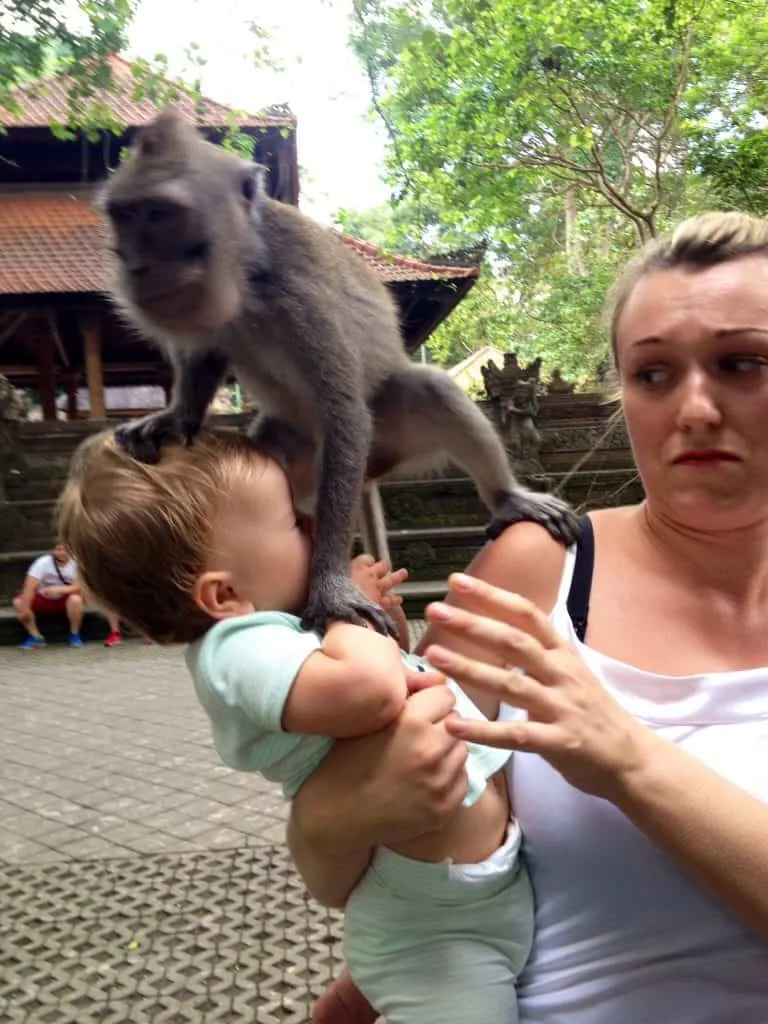 bali with a baby - monkey forest, ubud