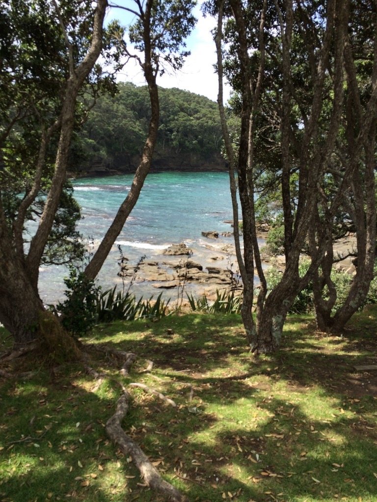 Goat Island Marine Discovery Centre