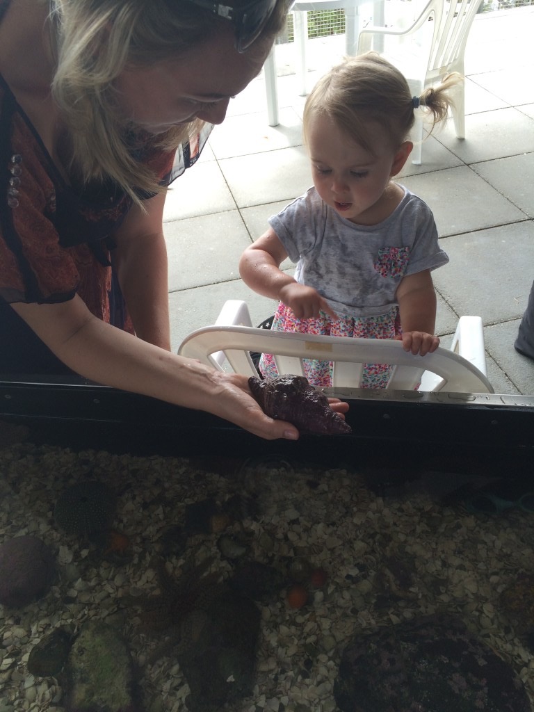 Goat Island Marine Discovery Centre
