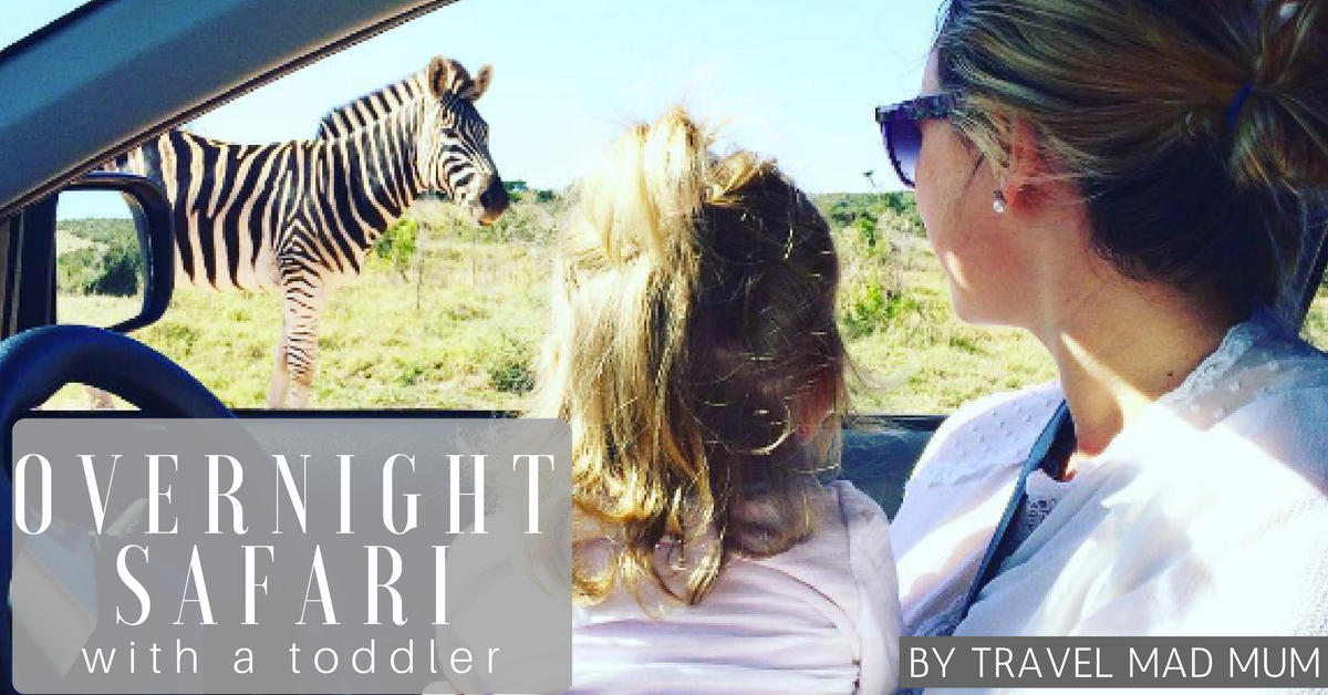 Overnight safari with a toddler