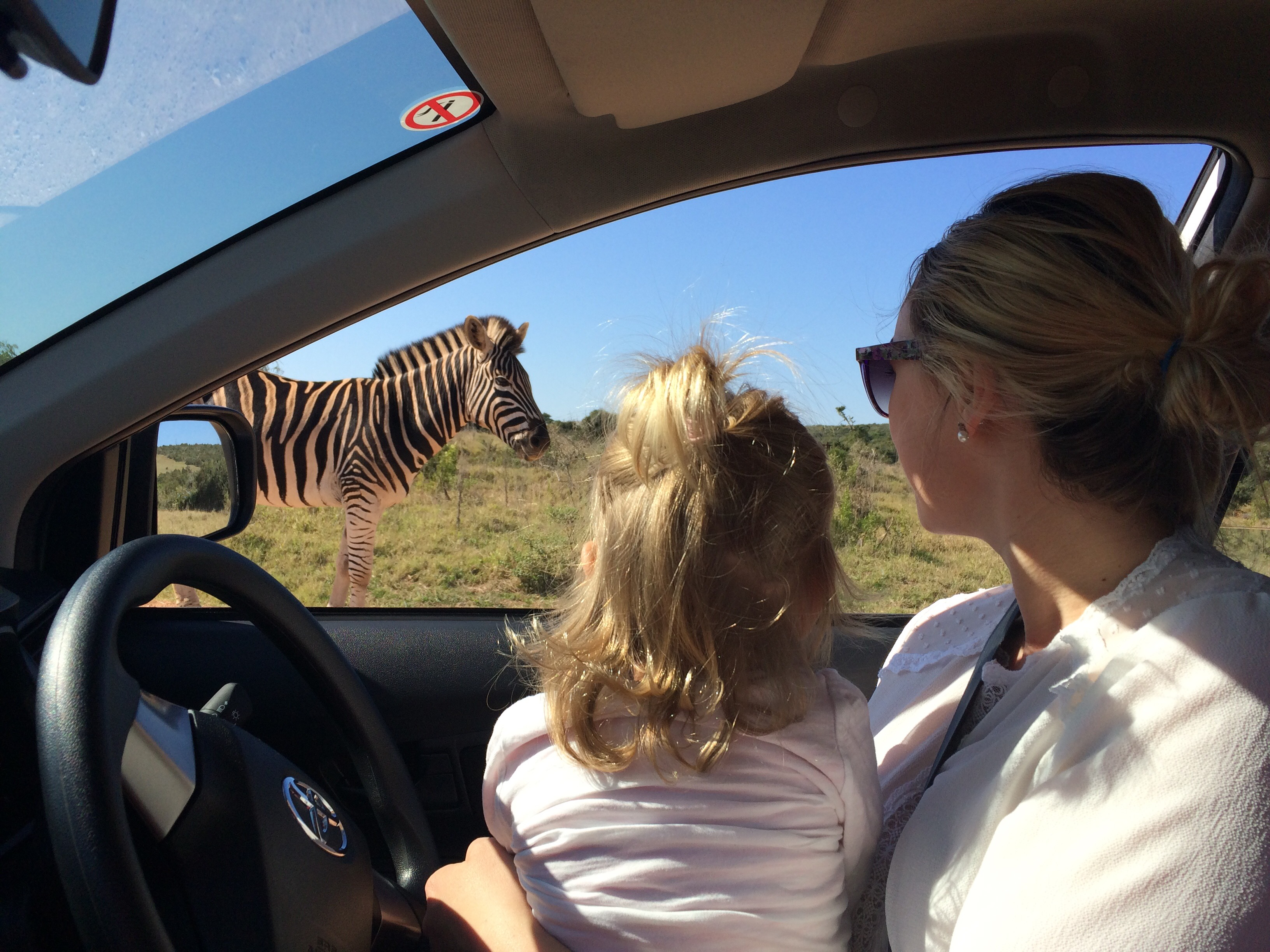 Addo National Elephant Park 2