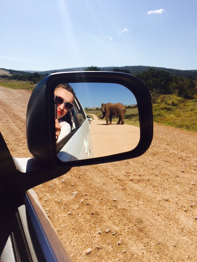 Addo National Elephant Park