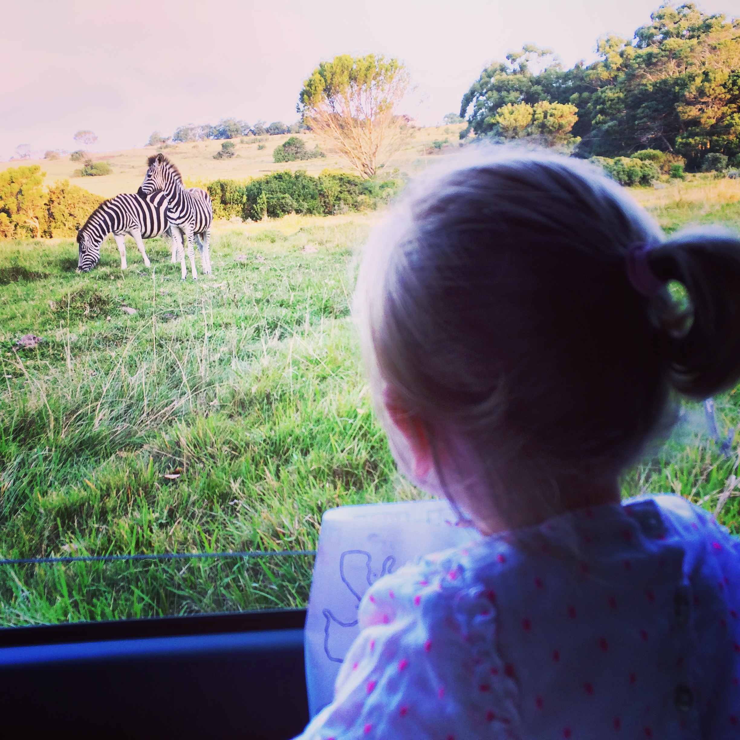 Kragga Kamma Safari Park