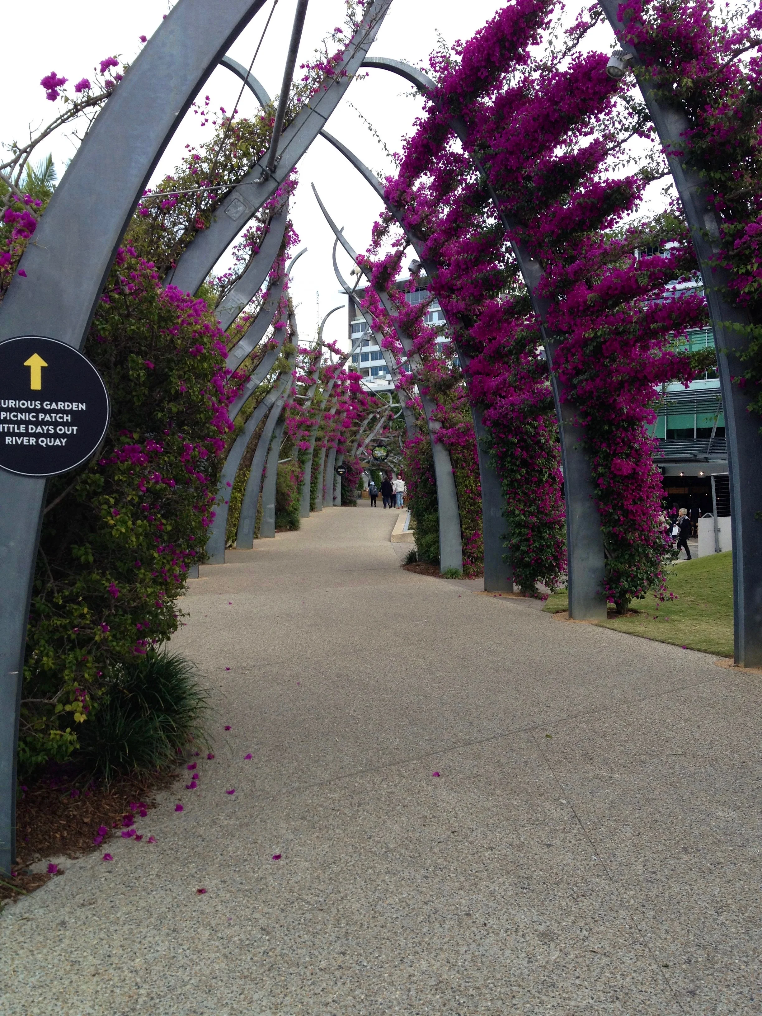 Brisbane with a baby