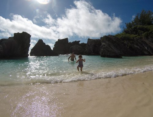 down in bermuda platforms down in bermuda platforms