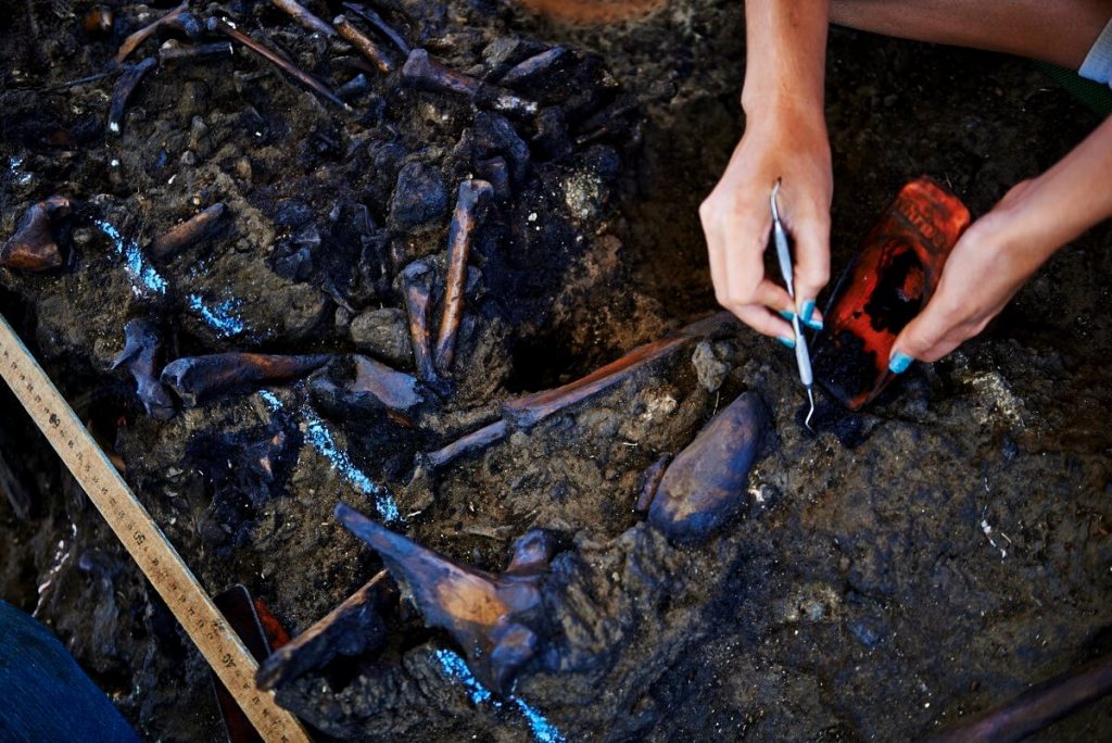 La Brea Tar Pits - Things to do with kids in Los Angeles