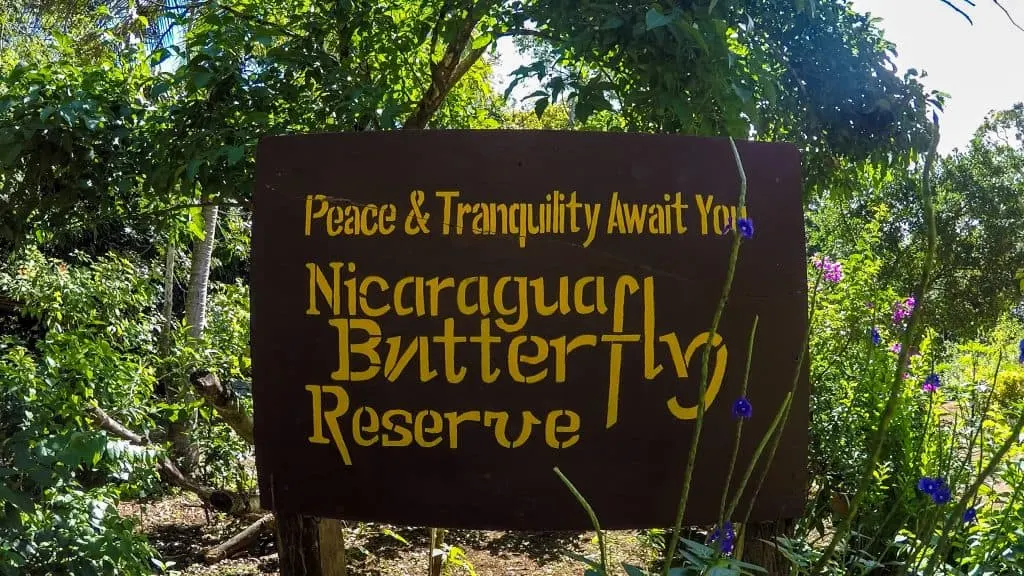 Granada Butterfly Reserve - Things to do in Granada, Nicaragua