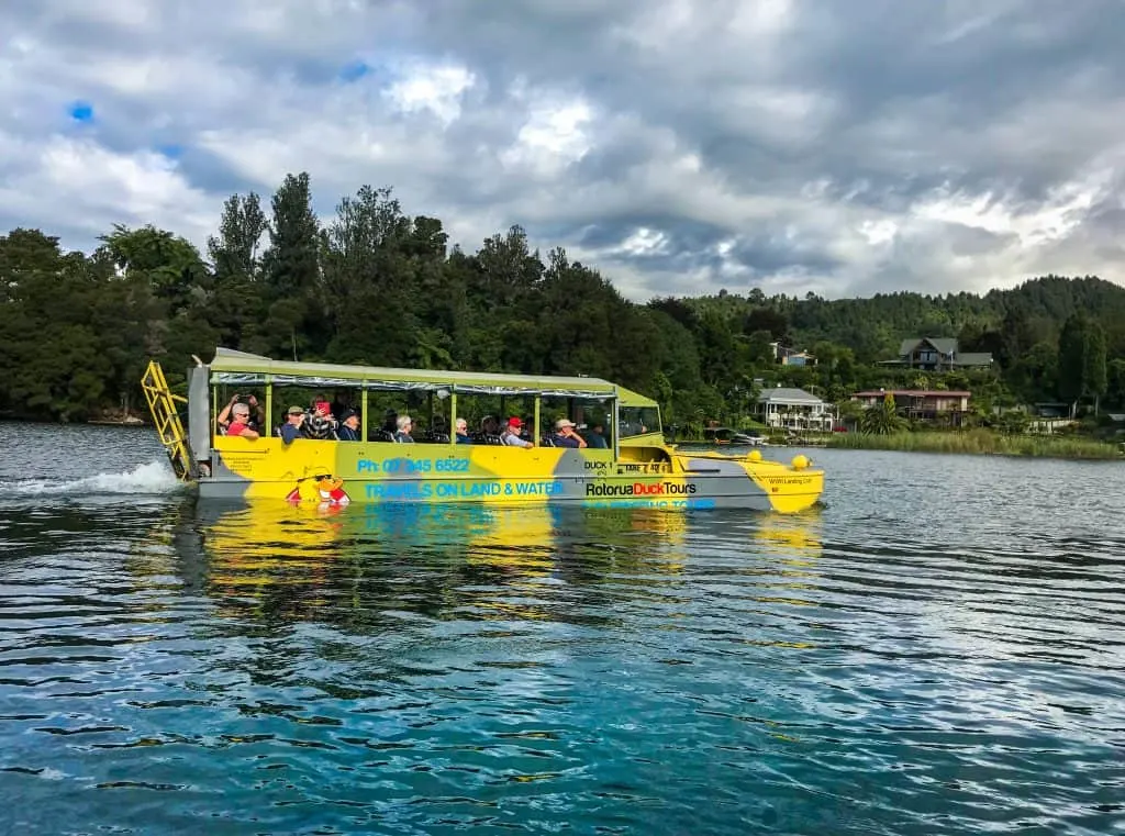 rotorua with kids 