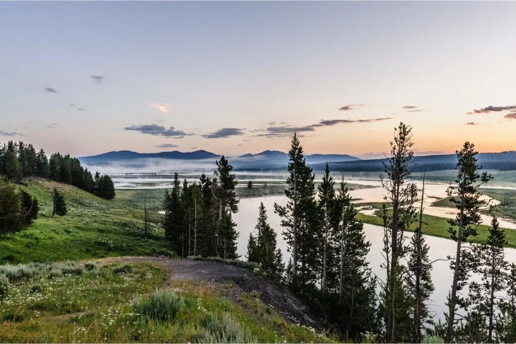 family vacation to yellowstone