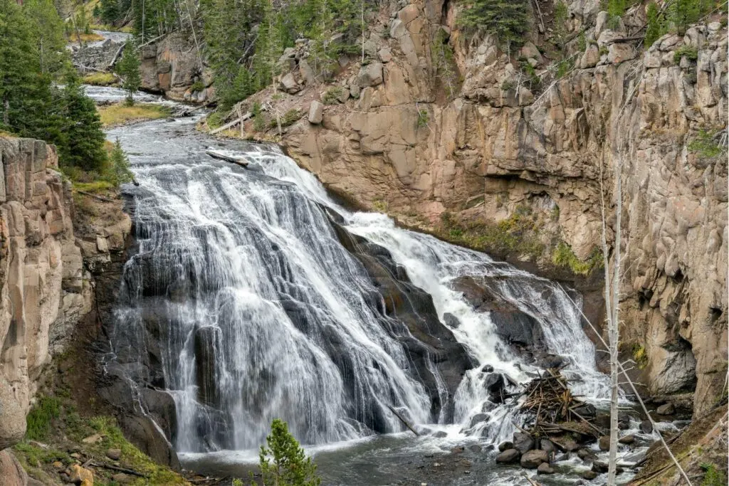 yellowstone kids