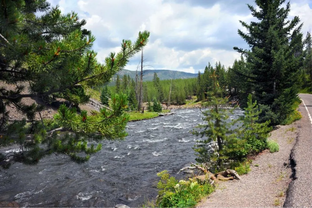 family vacation yellowstone