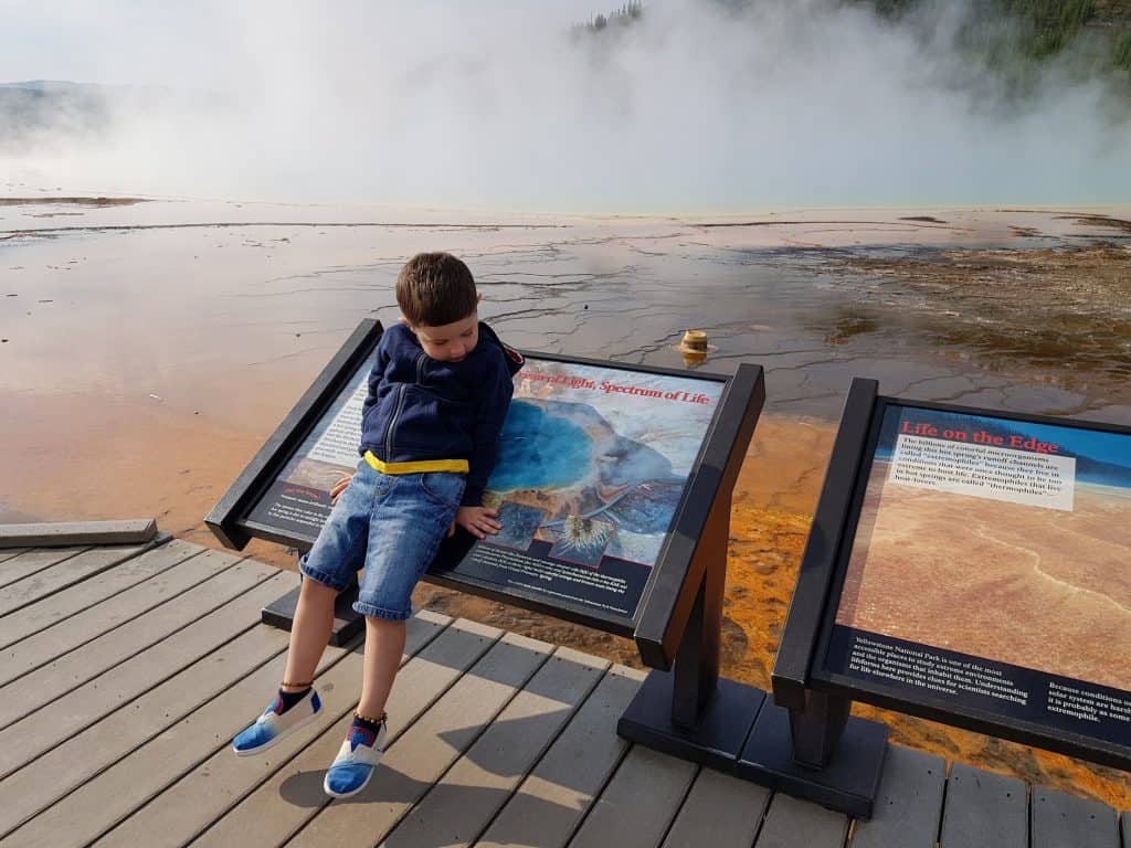 Yellowstone with kids 