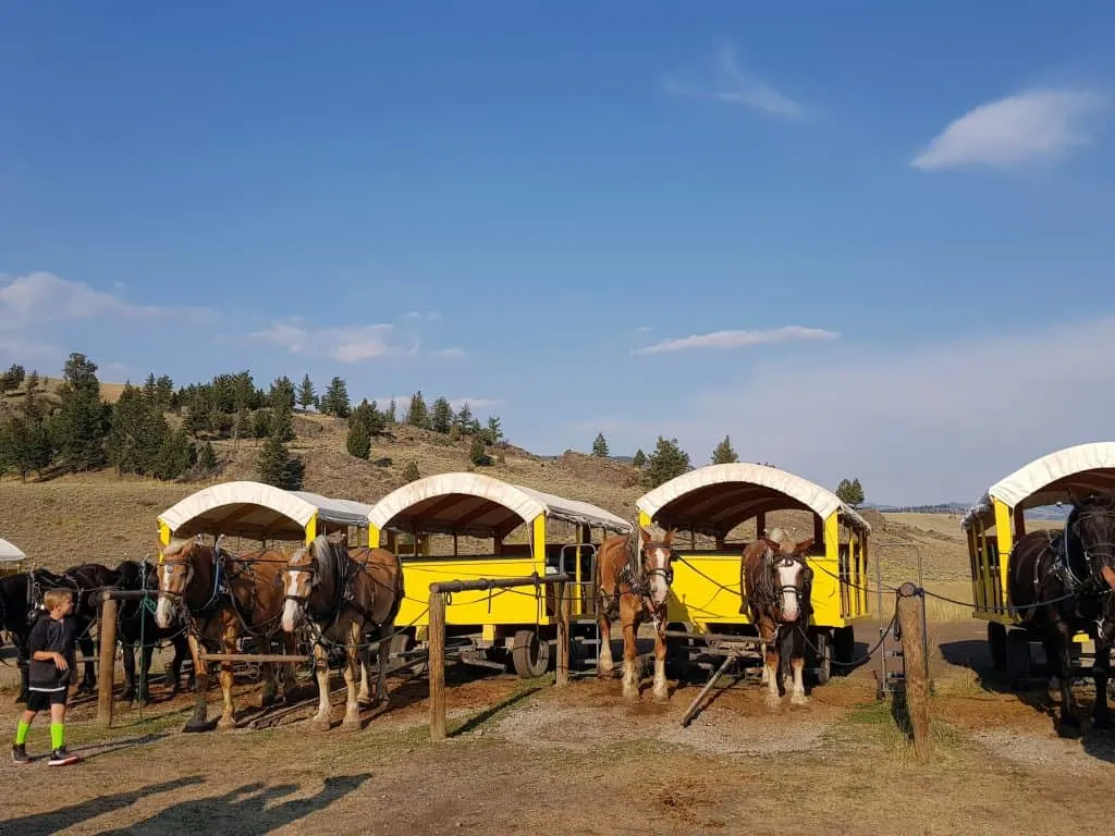 YELLOWSTONE WITH KIDS