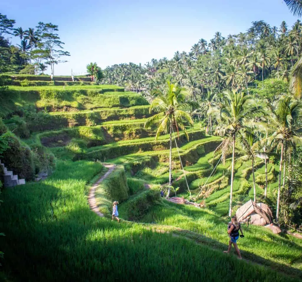  things to do in bali with baby
