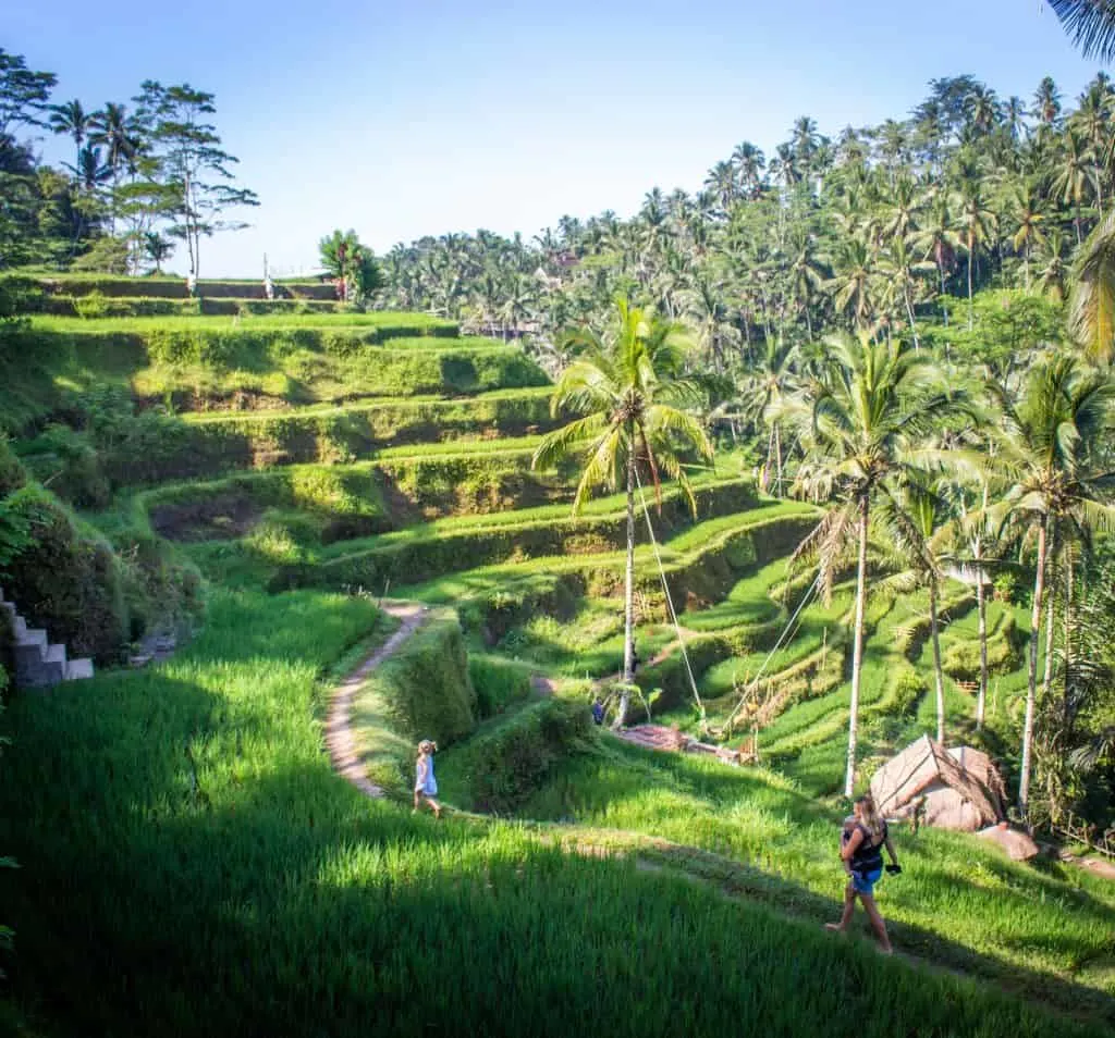 Ubud with children