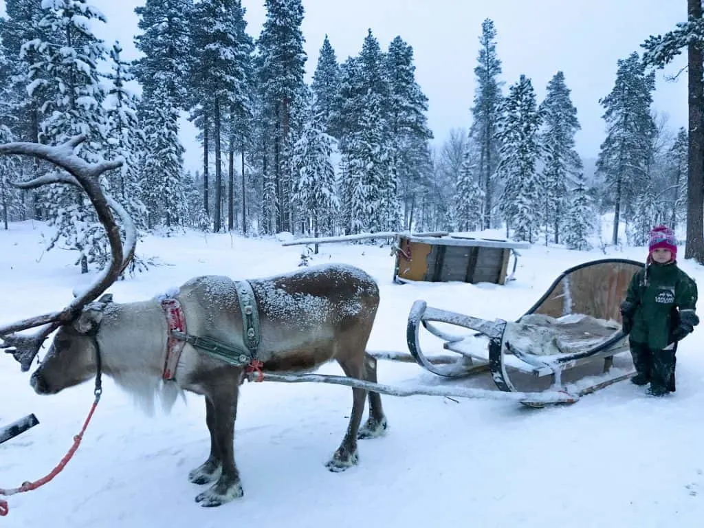 Santas Lapland review 