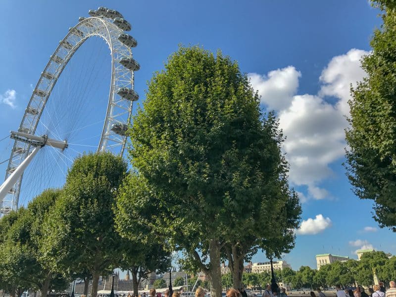 Things To Do In London With Kids London Eye 800x600 