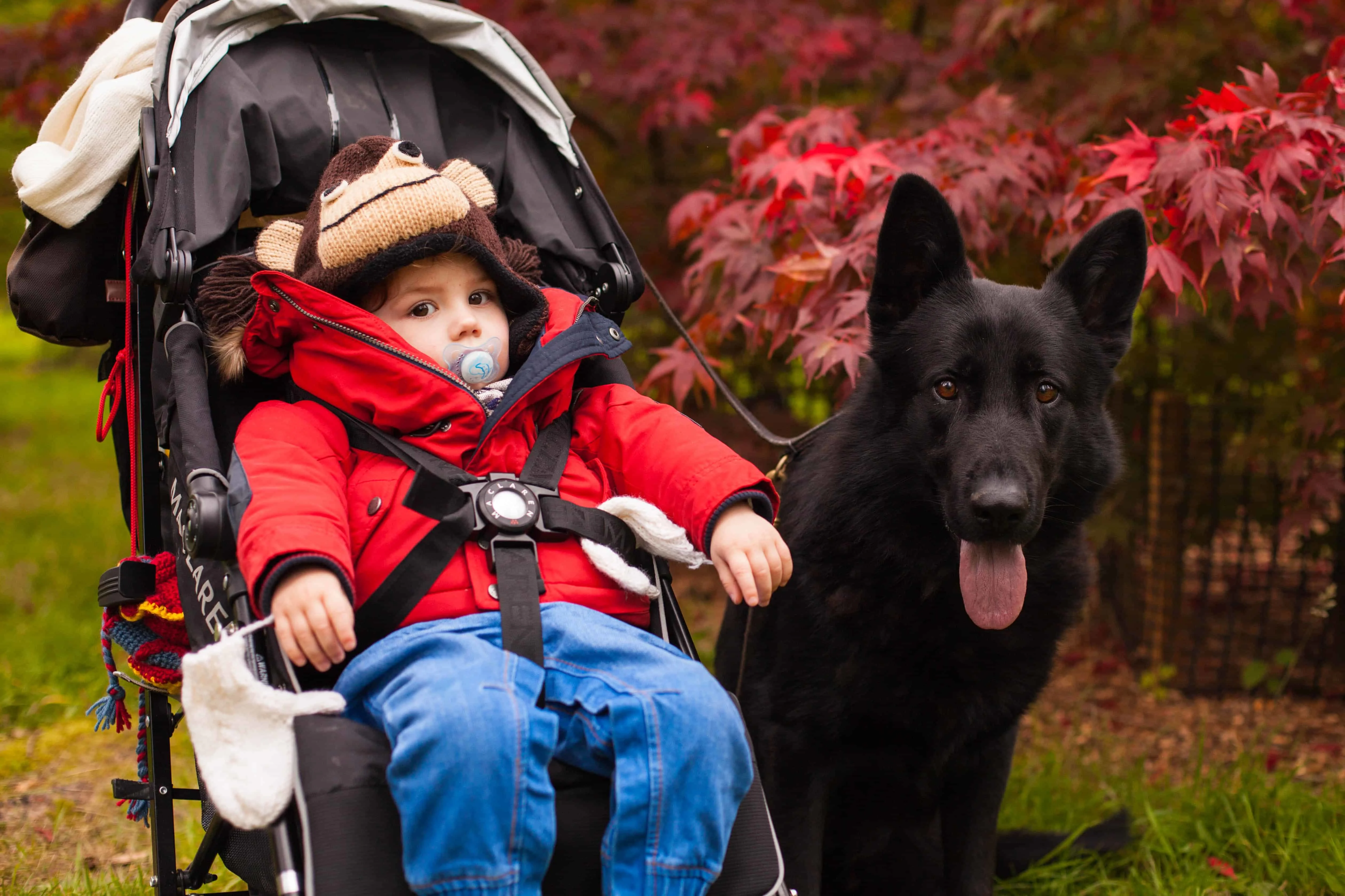 Stroller for 2024 20kg child