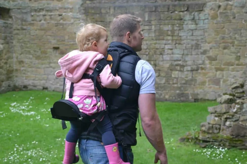 Best baby carrier for best sale air travel