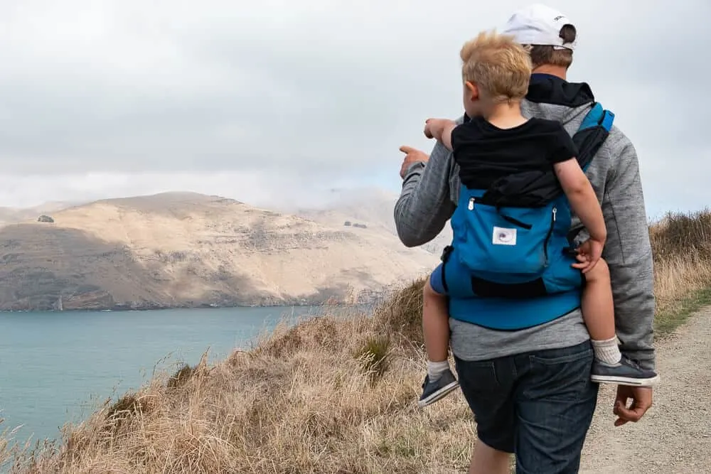 Best Baby and Toddler Travel Carriers - Ergobaby