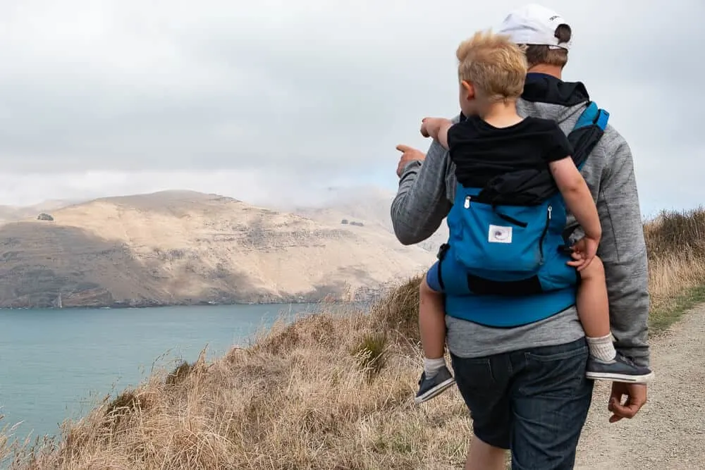 Toddler shop travel carrier