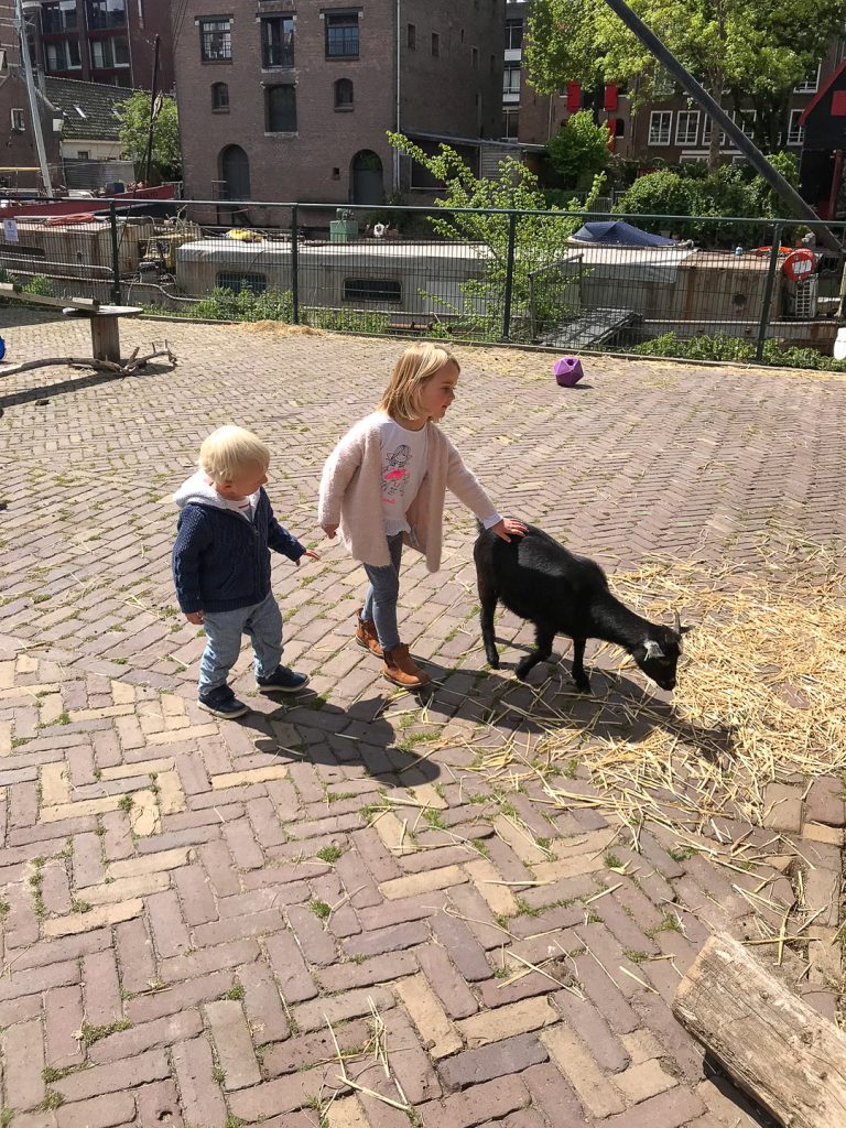visit amsterdam with toddler