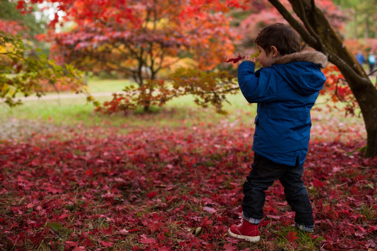 Cotswolds With Kids 2023 10 Fun Things To Do In The Cotswolds