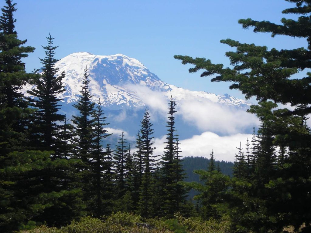 Outdoor activities seattle - Mount Rainier