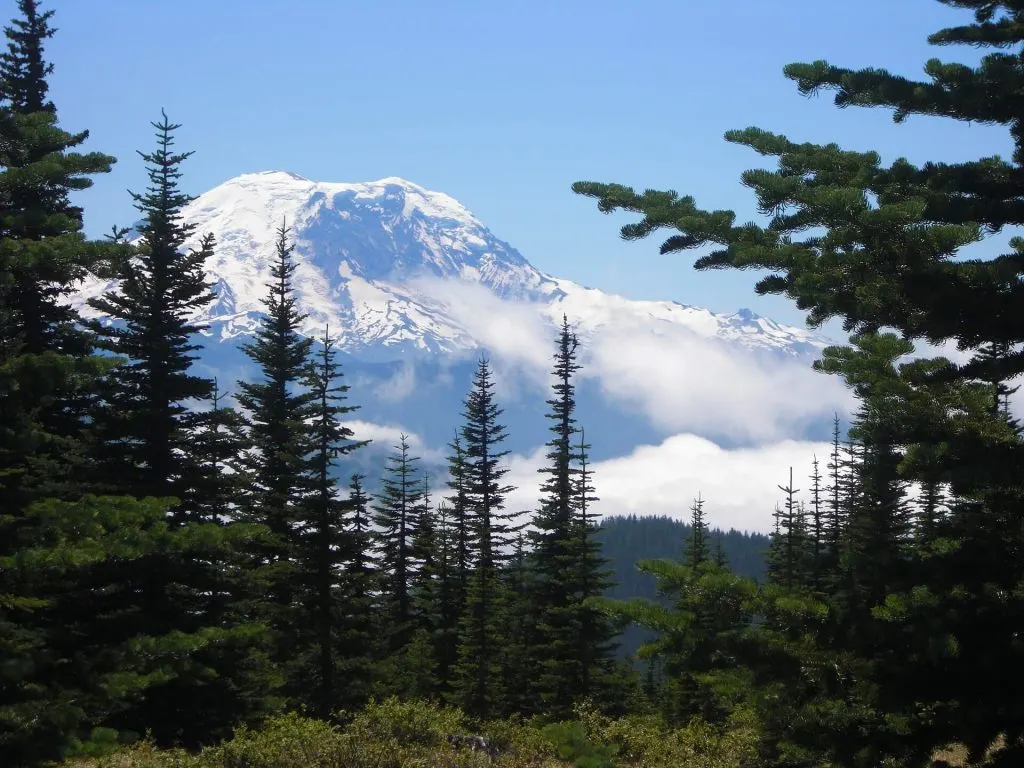 Outdoor activities seattle - Mount Rainier