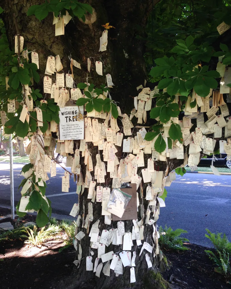 things to see in portland - the wishing tree