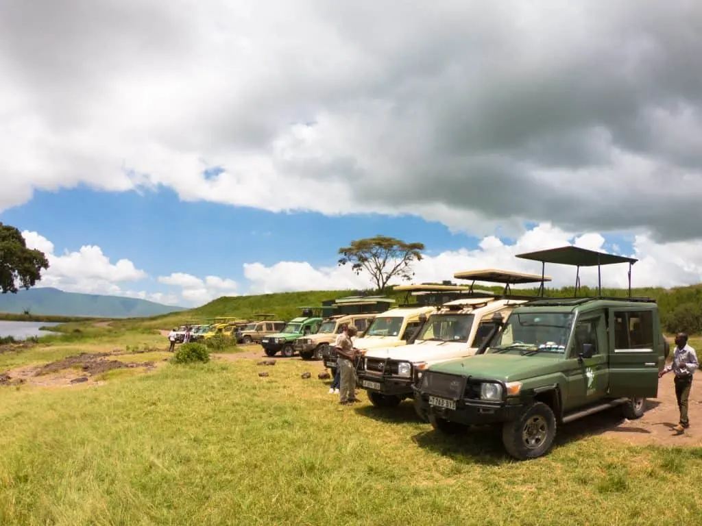 tanzania safari with kids 