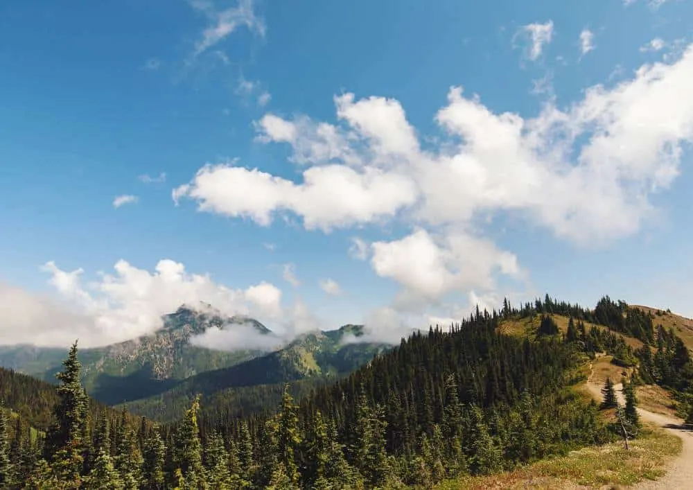 olympic national park hike