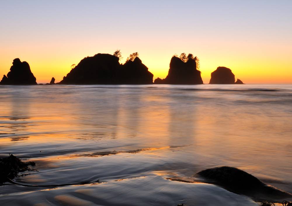 best family hikes in olympic national park
