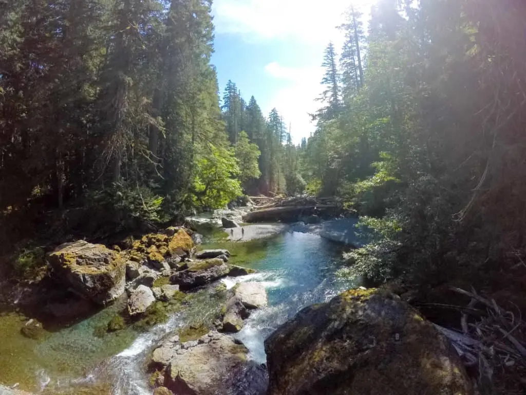 Olympic National Park with Baby