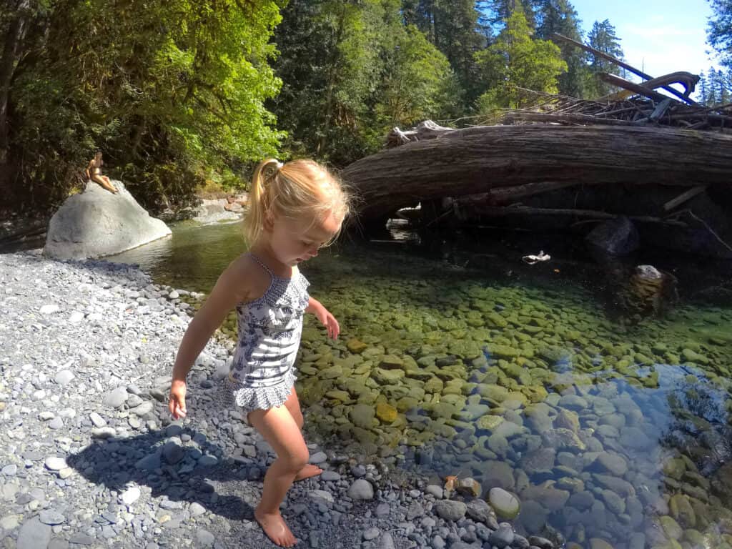 olympic national park with toddlers 