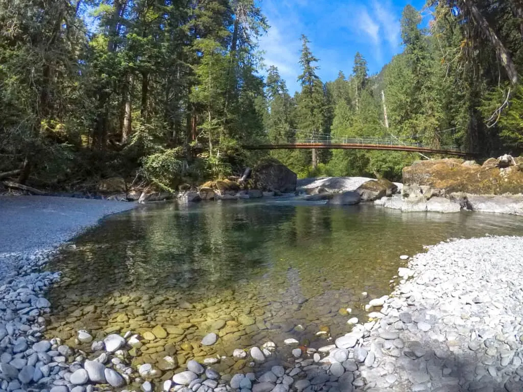 Best Family Hikes in Olympic National Park