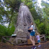 Best Things to Do in Redwood National Park with Kids
