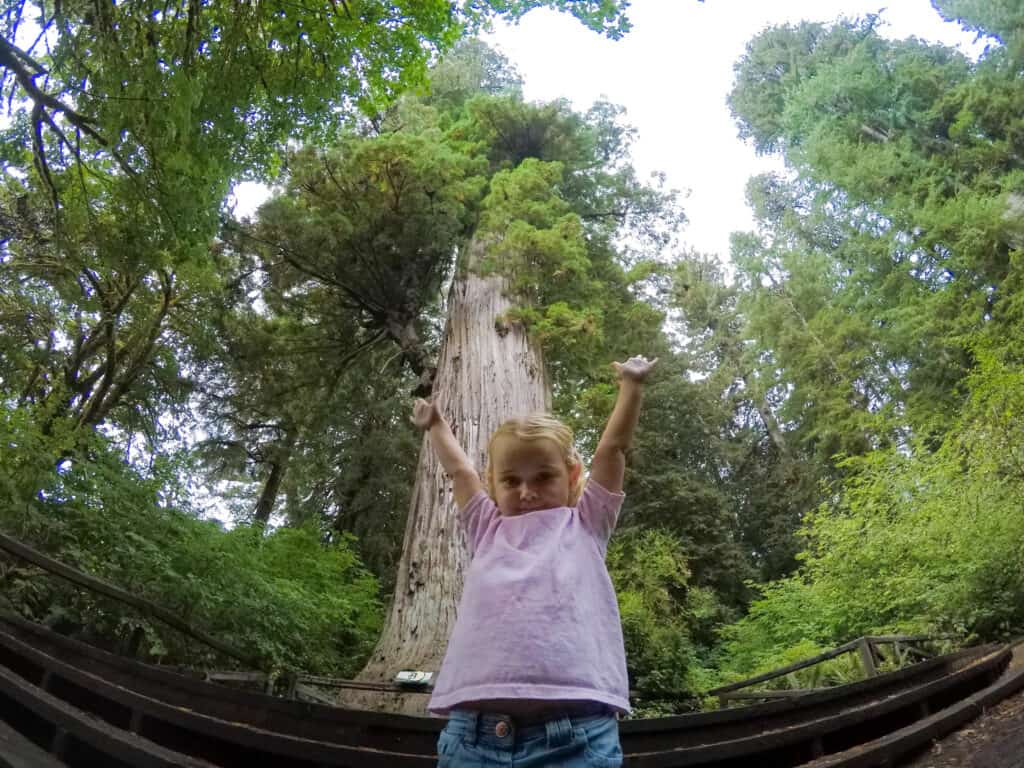 Best Things to Do in Redwood National Park with Kids