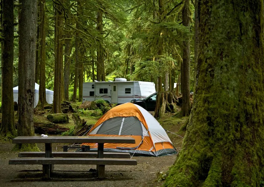 creek redwoods state