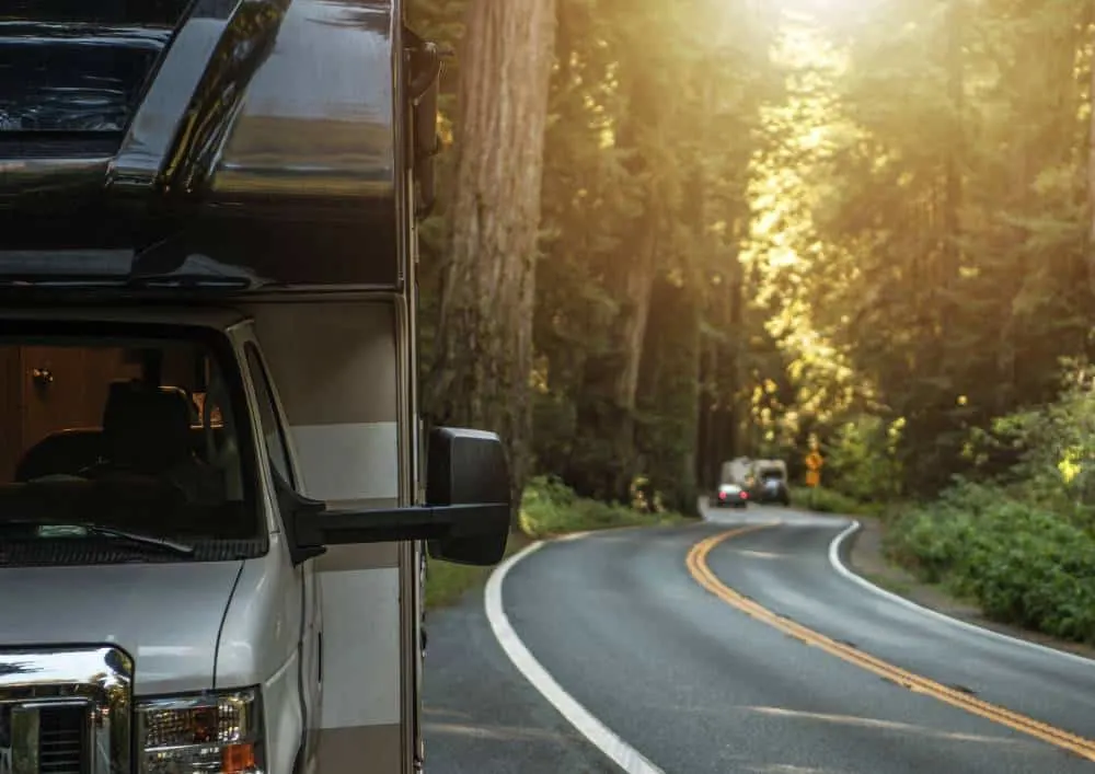 redwood national park with kids