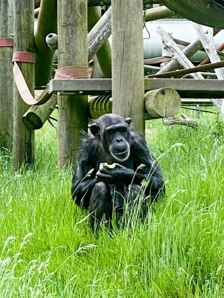 dorset family day out 