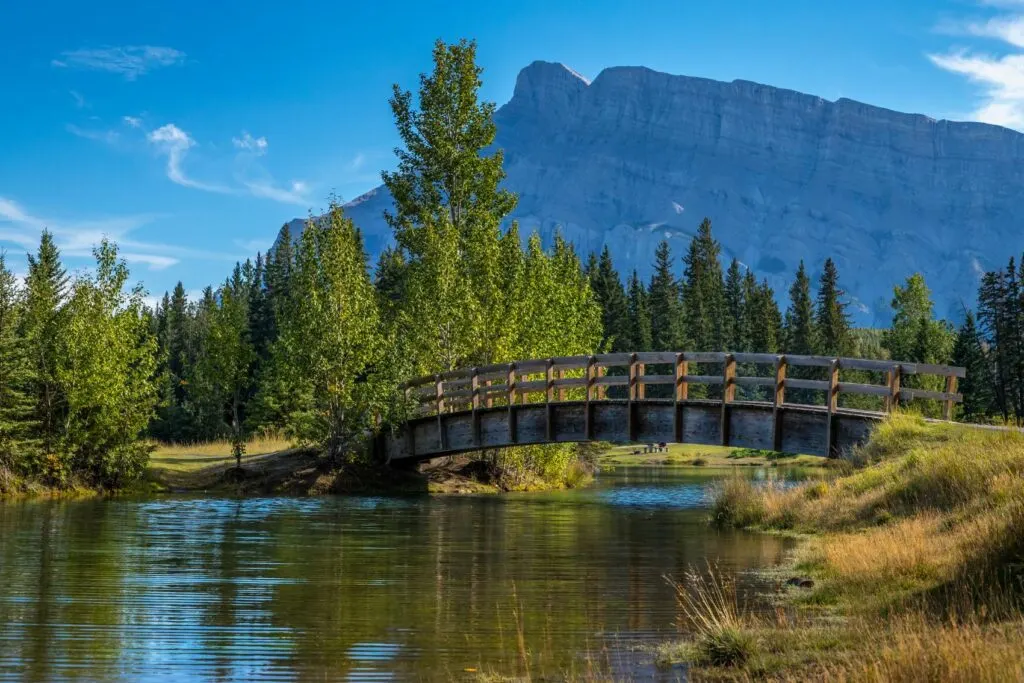 what to do in banff with kids