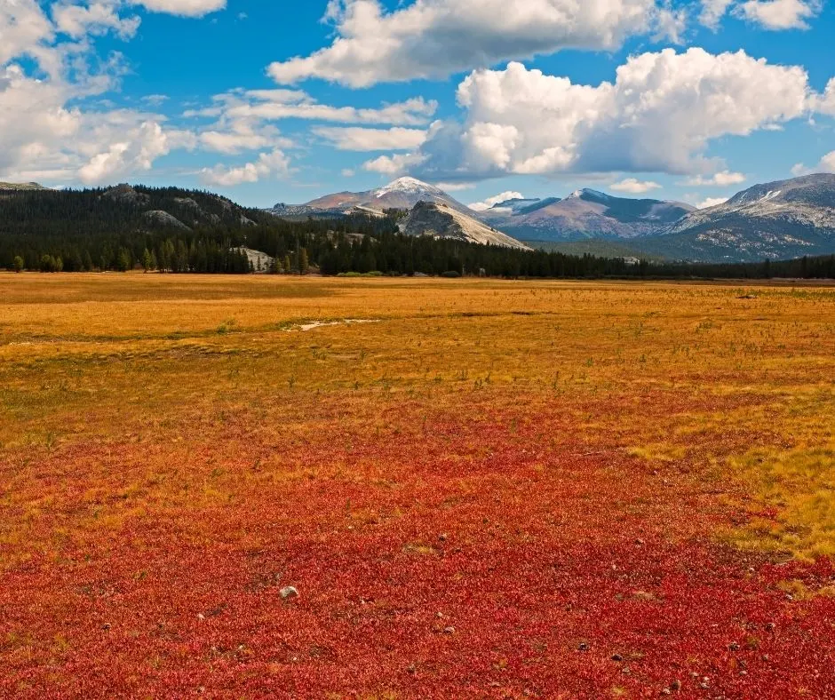 yosemite private tours