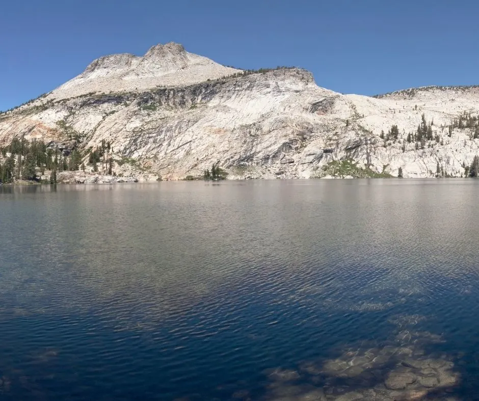 tours in yosemite national park