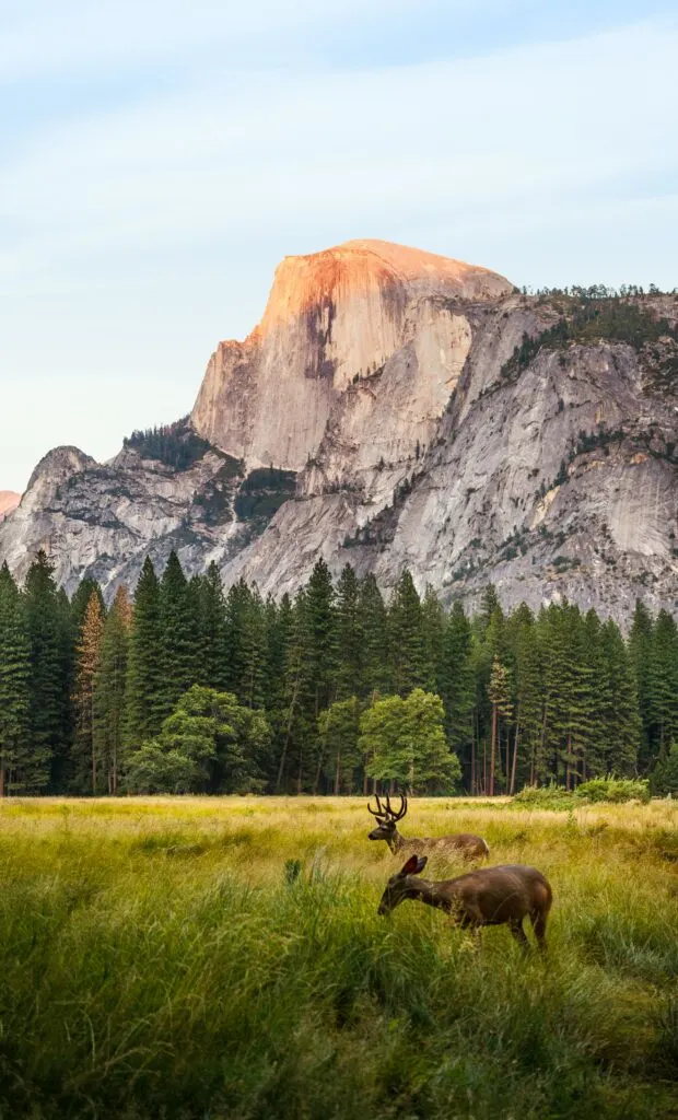 Best winter hikes yosemite