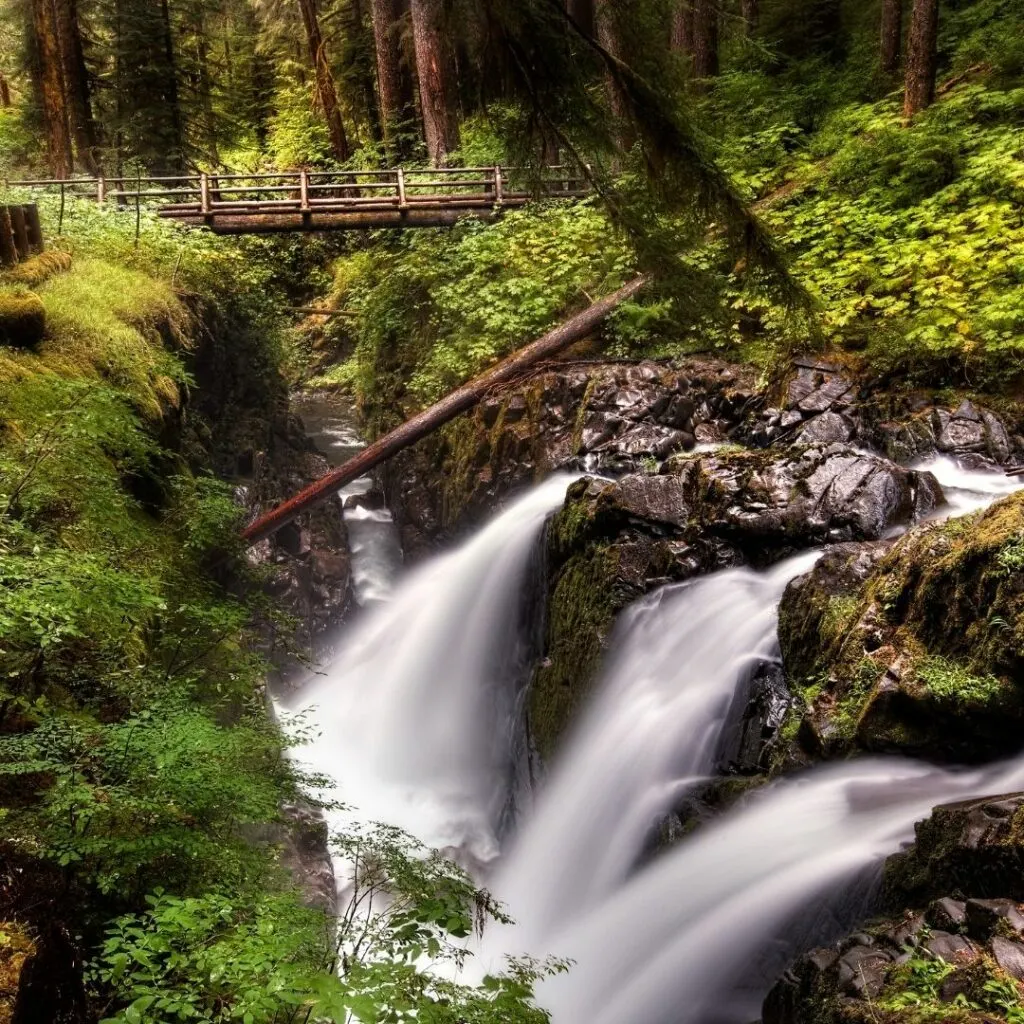 Olympic National Park Itinerary