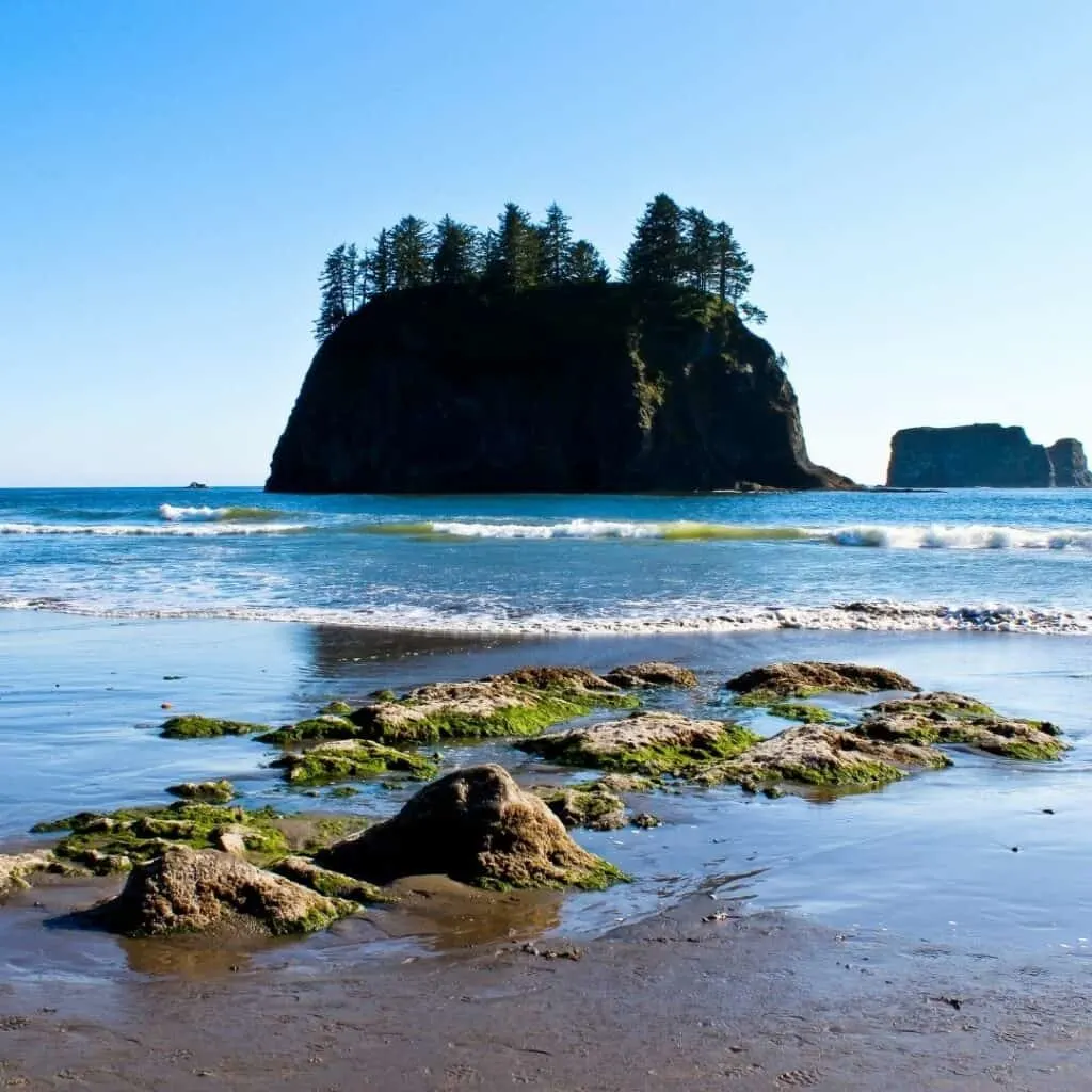 Olympic National Park Itinerary