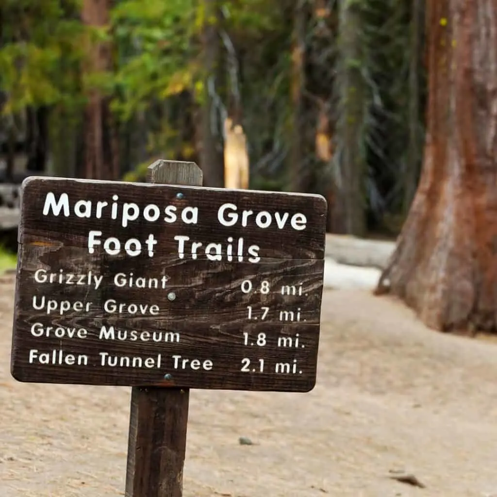 Yosemite park fall