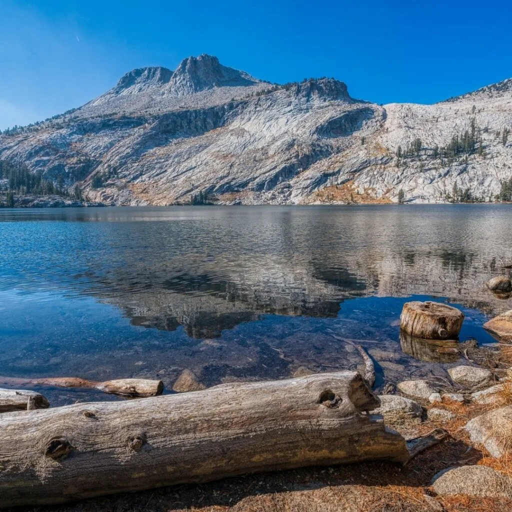 yosemite fall foliage